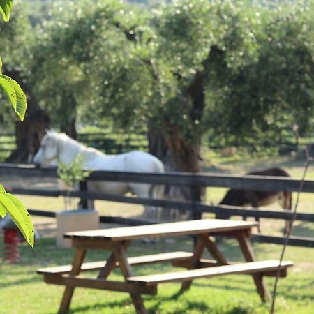 Honigtal Farmland Villa Агиос Георгиос Пагон Екстериор снимка