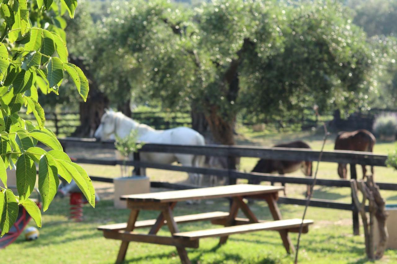 Honigtal Farmland Villa Агиос Георгиос Пагон Екстериор снимка