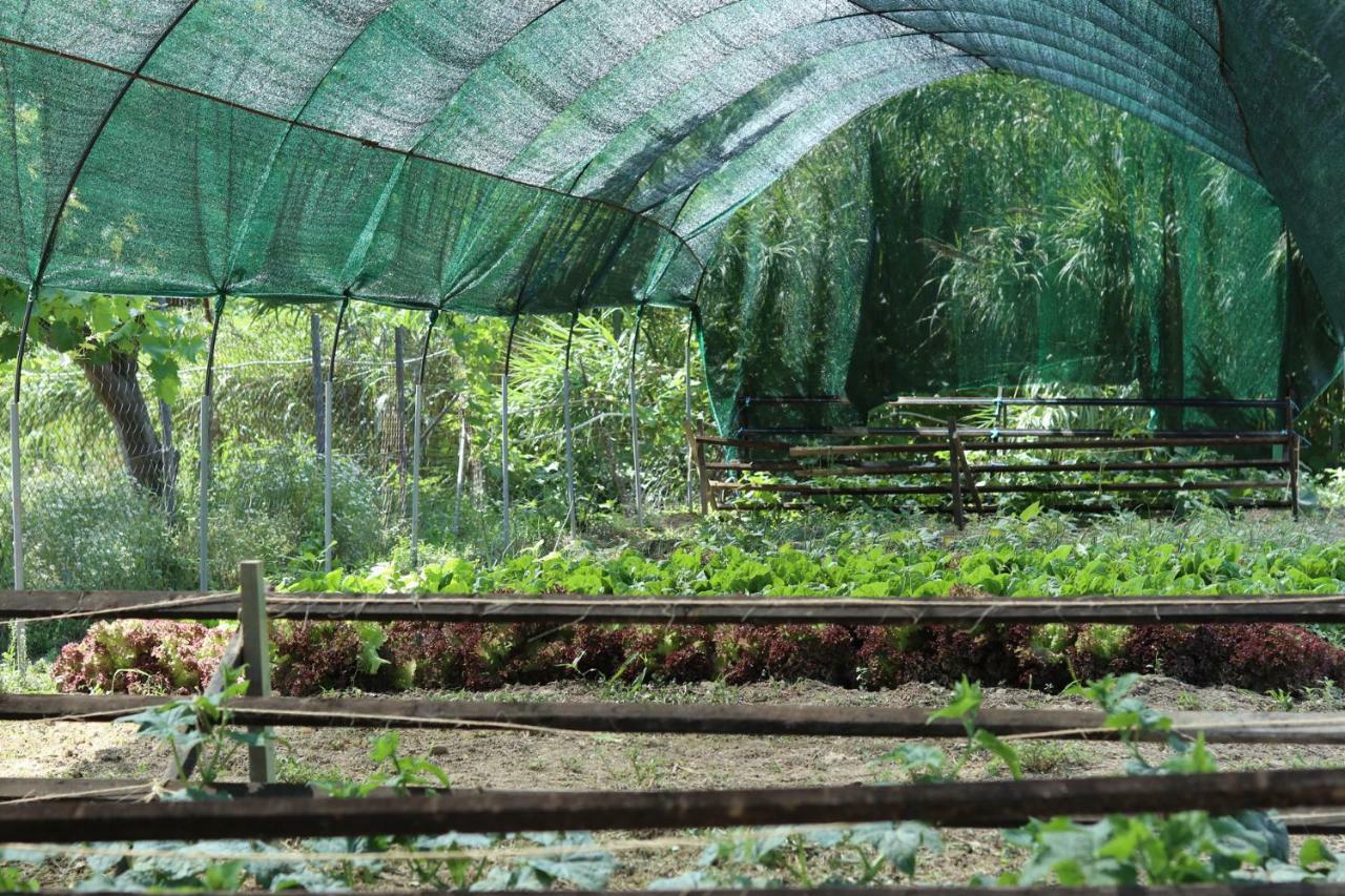 Honigtal Farmland Villa Агиос Георгиос Пагон Екстериор снимка
