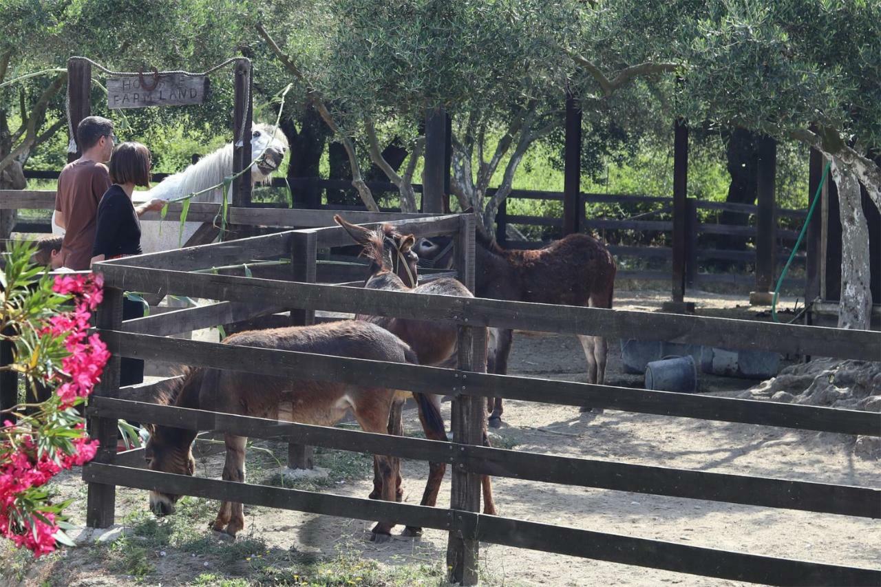 Honigtal Farmland Villa Агиос Георгиос Пагон Екстериор снимка