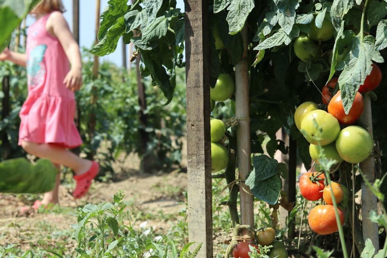 Honigtal Farmland Villa Агиос Георгиос Пагон Екстериор снимка